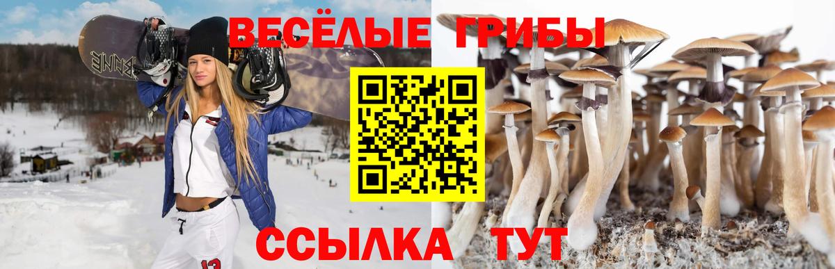 Псилоцибиновые грибы ЛСД  Вход с VPN  Галлюциногенные грибы MAGIC MUSHROOMS  Щёлково 
